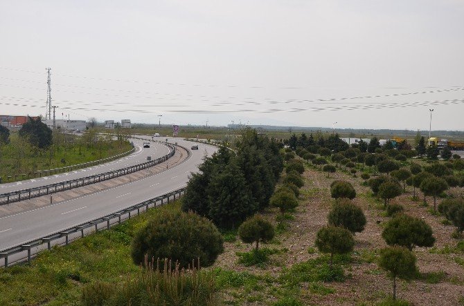 En Fazla Kazandıran Yatırım Aracı Toprak