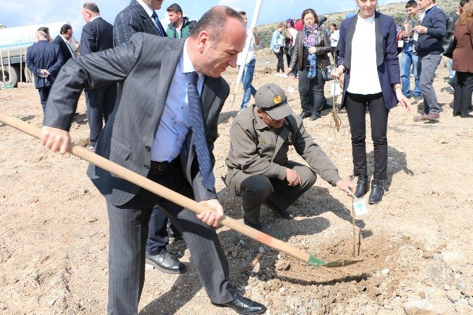 Yüksek Okul Öğrencileri Fidan Dikti
