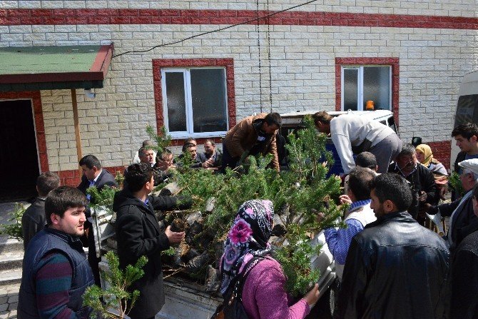 Ünye’de Binlerce Fidan Dağıtıldı