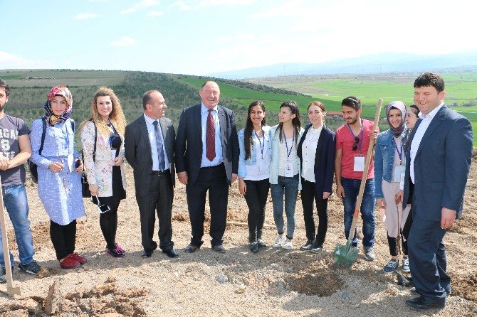 Yüksek Okul Öğrencileri Fidan Dikti