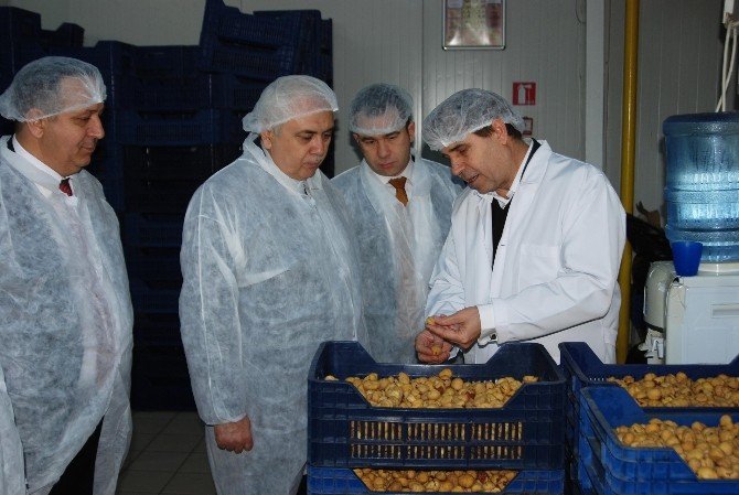 Kardelen’de Hijyenik Üretim
