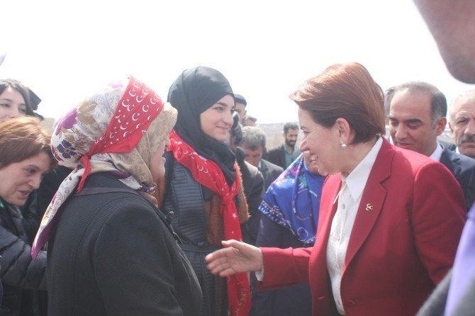 Mhp’li Akşener’e "Hayme Ana" Benzetmesi