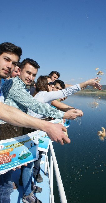Üniversiteli Gençler Kırıntıları Paylaştı