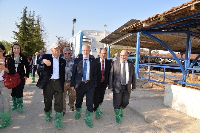 Başarısız Meslek Yüksekokulları Kapatılacak
