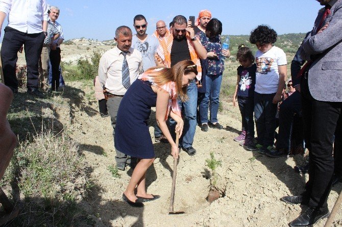 Azeri Milletvekili Paşayeva’dan Ermenistan’a Sert Sözler