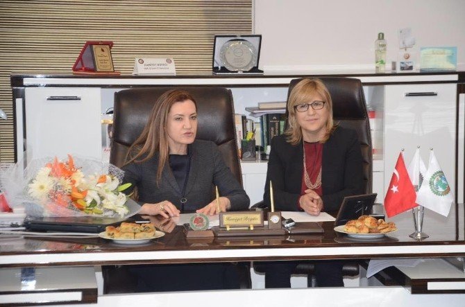 Ak Parti Genel Başkan Yardımcısı Hotar: "720 Bin Taşeron İşçi Kadroya Geçecek"