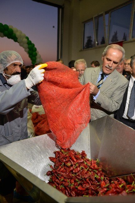 Besaş’tan Tarladan Sofraya Kırmızı Biber