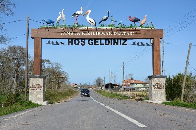 Leylek Ormanı’na Ziyaretçi Akını