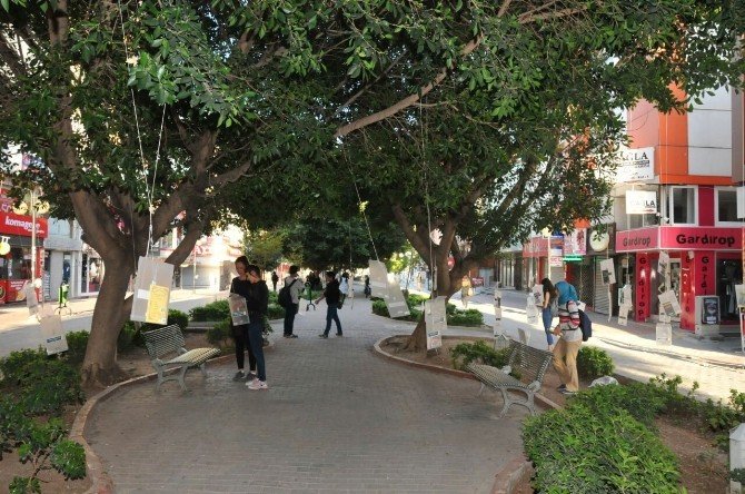 Ağaçlar Kitap Açtı