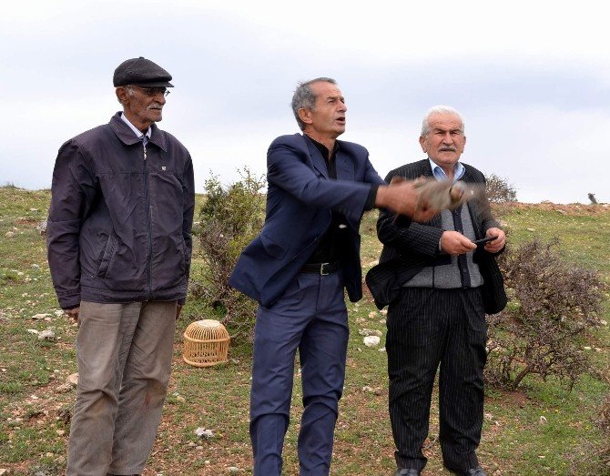 Avcıların Yakaladığı Kekliği 2 Koli Yumurtayla Takas Edip, Doğaya Bıraktılar