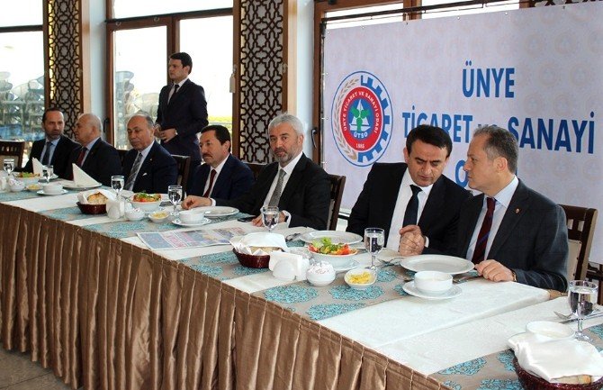 Ünye Osb’de Kamulaştırma Aşamasına Geçiliyor