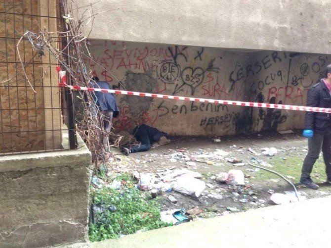 Babaannenin Acı Tesadüfü