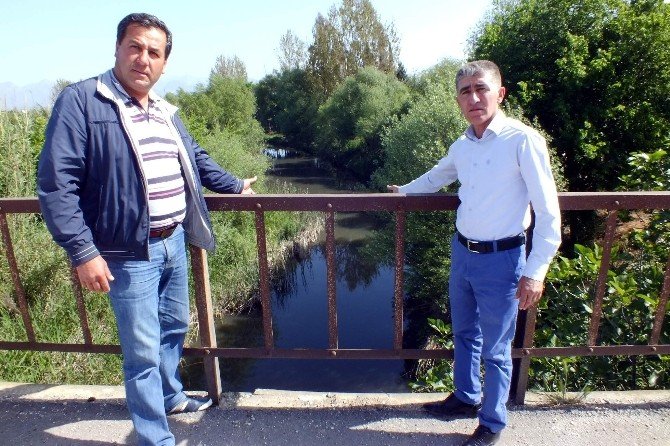 Besi Çiftliğinin Dereyi Kirlettiği İddiası