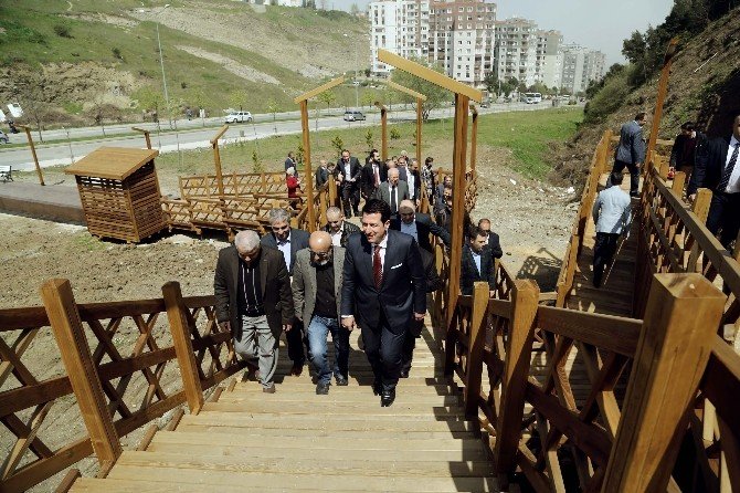 Başkan Tok’tan Meclis Üyelerine Hizmet Turu