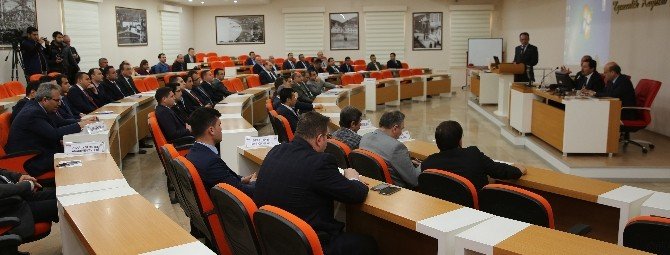 Ordu’da Ceviz Ormanları Kuruluyor