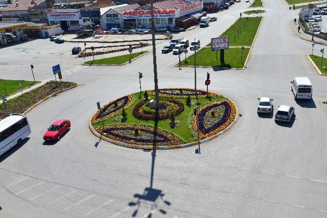 Tokat 150 Bin Çeşit Çiçekle Donatıldı