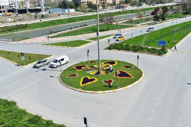 Tokat 150 Bin Çeşit Çiçekle Donatıldı
