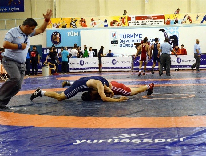 Üniversiteler Arası Türkiye Güreş Şampiyonası Çorum’da Başladı