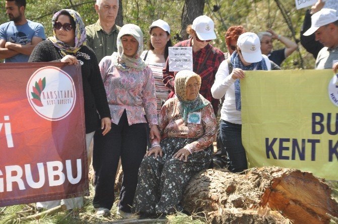 Urla Res’e Rest Çekti