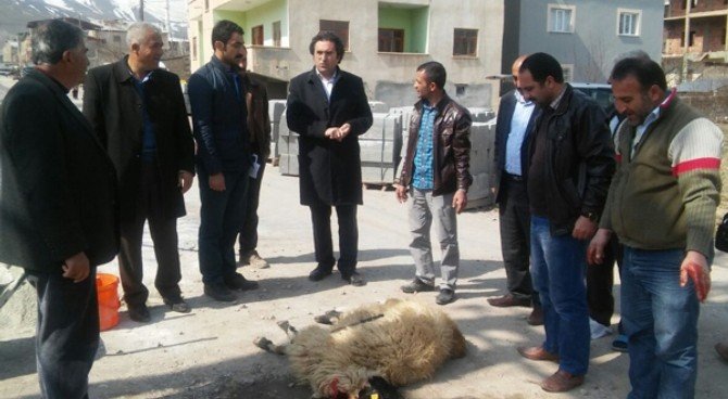 Gevaş Parke Taşı İle Tanıştı
