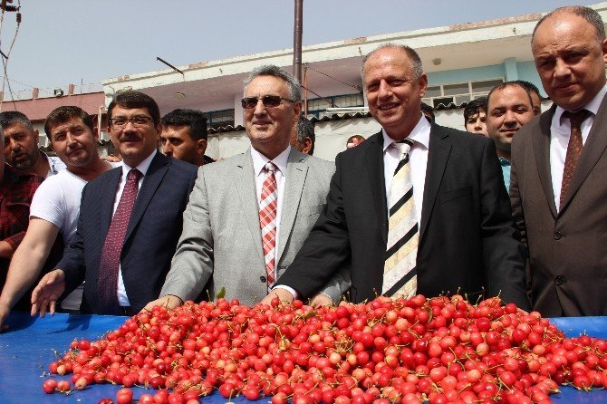 Kiraz Altını Solladı