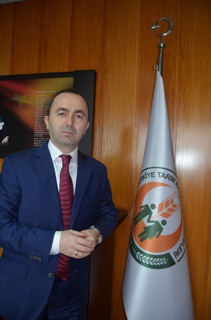 "Dondan Zarar Gören Fındıkta Henüz Hasar Tespiti Yapılmadı"