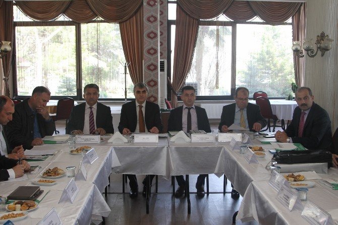 Dokap’tan Ömrünü Tamamlamış Fındık Bahçelerine Çözüm Projesi