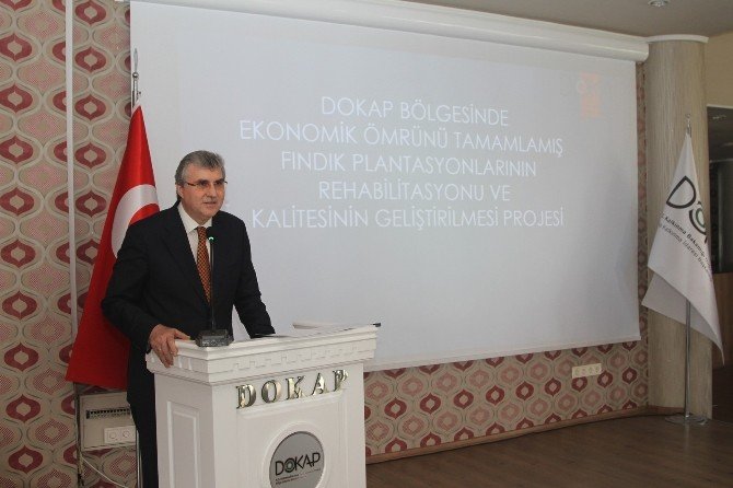 Dokap’tan Ömrünü Tamamlamış Fındık Bahçelerine Çözüm Projesi