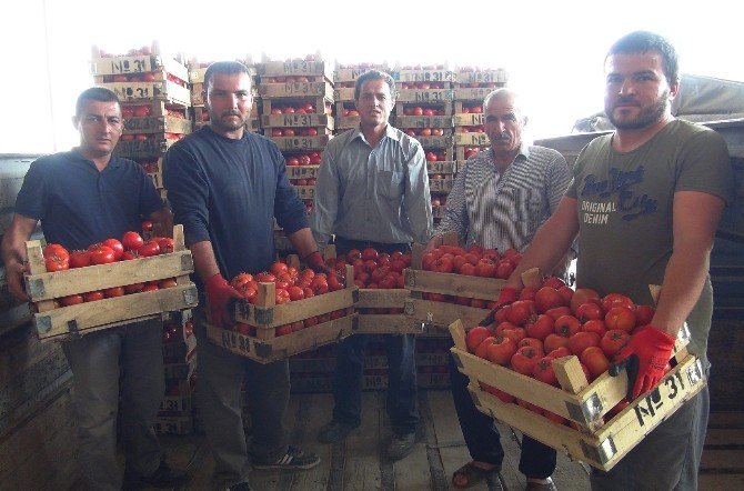 Mersin’den Irak’a Domates İhracatı Başladı