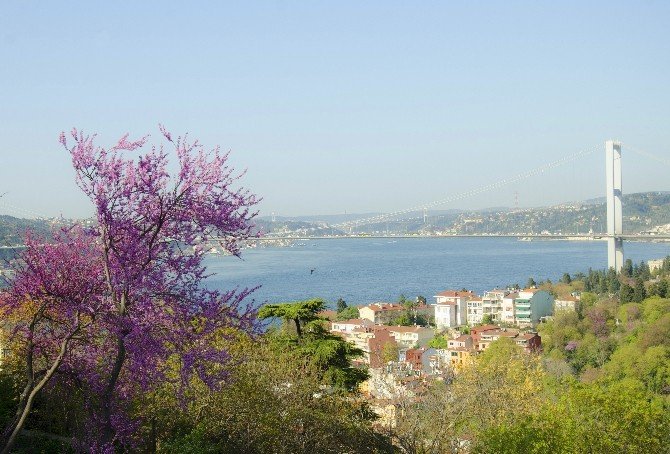 Fethipaşa Korusu’nda Renk Cümbüşü