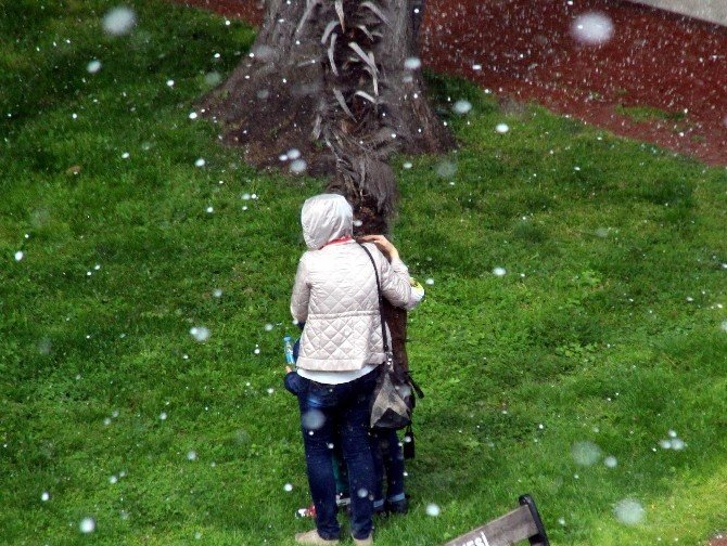 Samsun’da Misket Büyüklüğünde Dolu Yağdı
