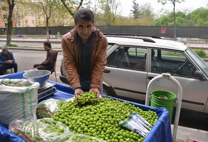 200 Tl’den Alıcı Bulan Erik, Kilosu 12 Tl’ye Düşünce Elde Kaldı