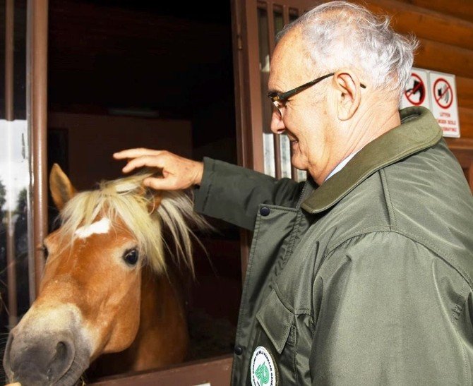 Kuş Cenneti’ne Atlı Jandarmalar Geliyor
