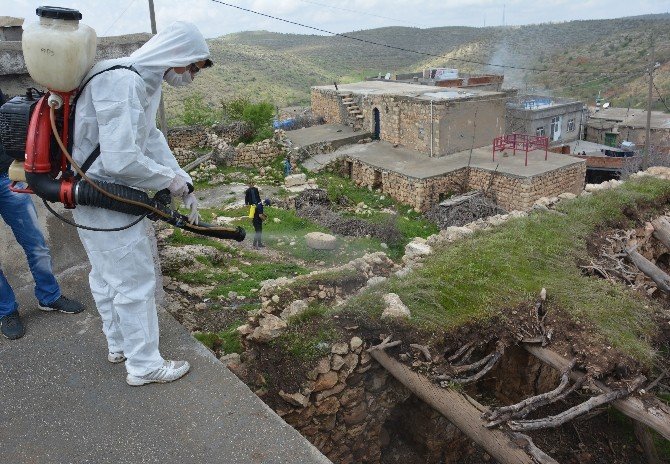 Kırkayaklar Köyü İstila Etti