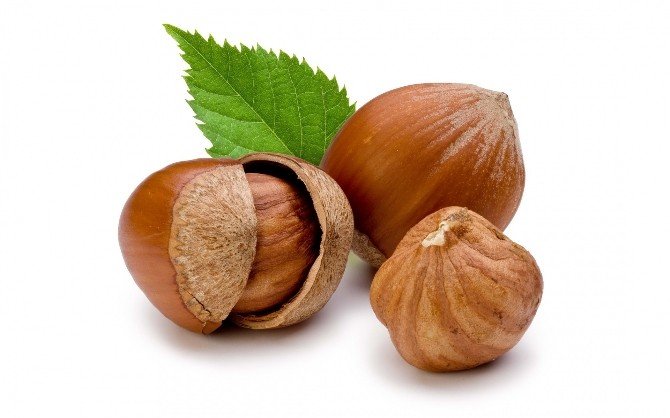 Fındıkta Müthiş Sır