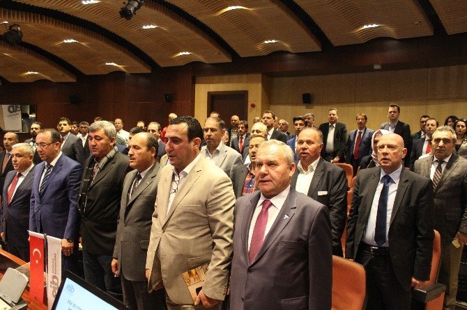 İhracatçılardan Zeytinyağı Fiyatı Çıkışı