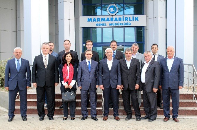 Marmarabirlik’ten Dünyaya Örnek Proje