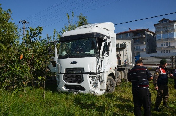Tır Bahçeye Girdi: 1 Yaralı