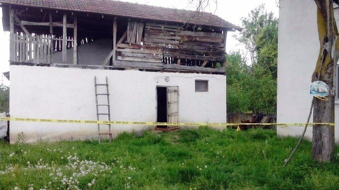 25 Yaşındaki Genç Odunlukta İntihar Etti