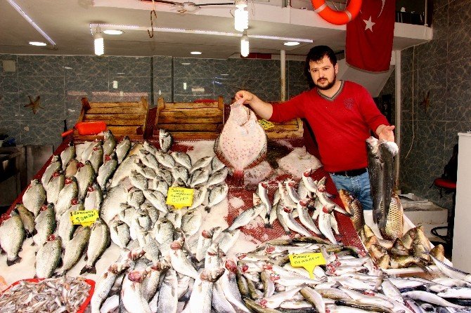 Av Sezonu Kapandı, Balık Fiyatları Arttı
