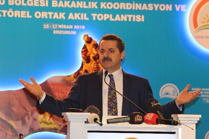 Bakan Çelik: "Aşımızı, Kederimizi, Sevincimizi Bölüşürüz Ama Bu Vatanın Bölünmesine Asla İzin Vermeyiz"