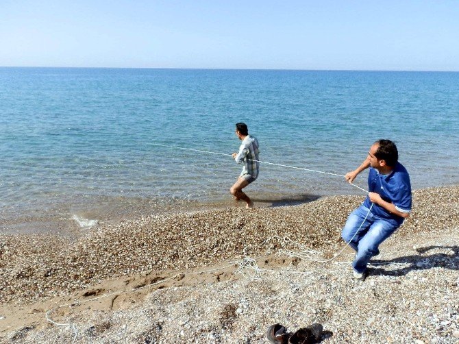 Kaçak Ağa Takılan Caretta Caretta’nın Yaşam Mücadelesi