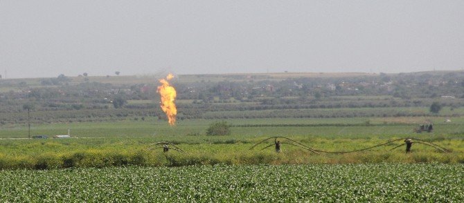 Adana’da Doğal Gaz Bulundu