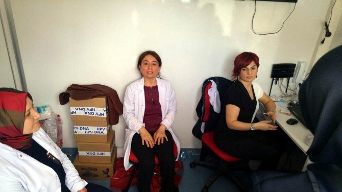 Pembe Prenses Vezirköprü’de