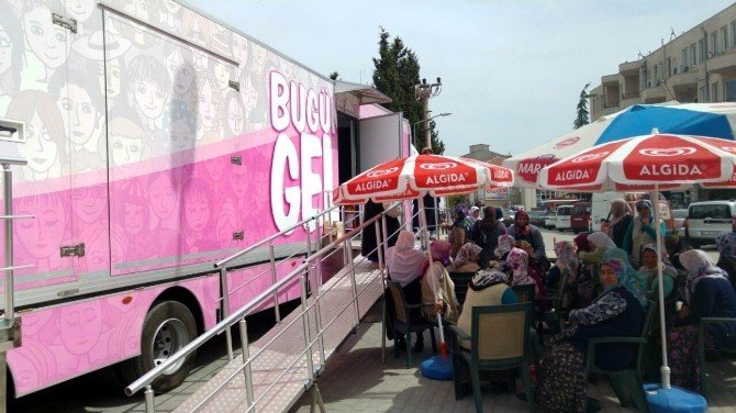Pembe Prenses Vezirköprü’de