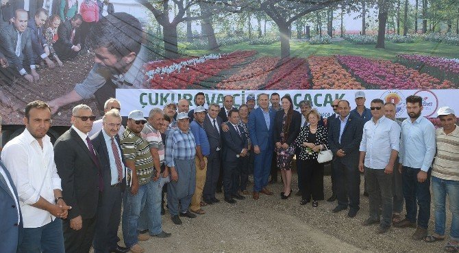 Adana’dan Hollanda’ya Çiçek İhracatı