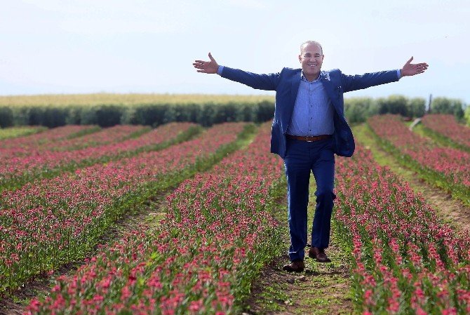 Adana’dan Hollanda’ya Çiçek İhracatı