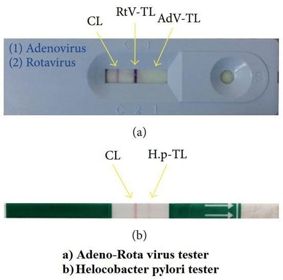 Artık Hastanelerde Testlerin Yanlış Yorumlanması Engelleniyor