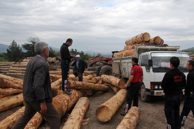 Tomrukların Altında Kalan Sürücü Yaralandı