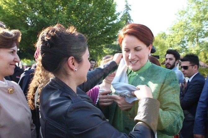 Meral Akşener: “Ben Seçilirsem Bunlar Ot Yolacaklar”